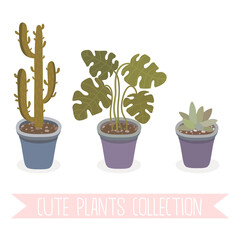 Different potted plants collection. Hand drawn home plants illustrations. Vector set of house indoor plants.
