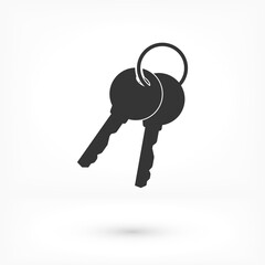 Vector icon key, design illustration for web key. Flat style key.