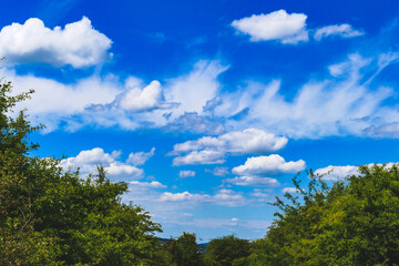 Obraz premium Some views from Buda hills