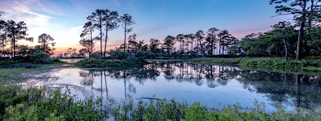 nature landscape scenes around hunting island state park in south carolina