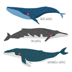 set of cute whales illustration isolated on white background for children designs. Vector whales ilustrations set