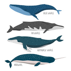 set of cute whales illustration isolated on white background for children designs. Vector whales ilustrations set