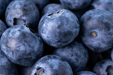 Fresh ripe blueberries closeup. Macro shooting