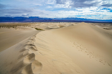 mesquite flat sand dunes in death valley national park in california, usa