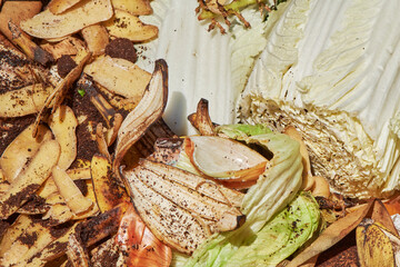 View into a bio container  with various organic wastes such as potato and salad for recycling.