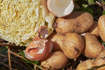 View into a bio container  with various organic wastes such as potato and salad for recycling.
