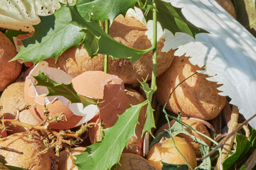 View into a bio container  with various organic wastes such as potato and salad for recycling.