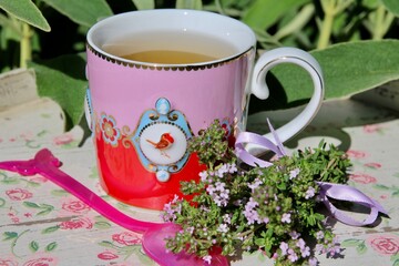 Tisane aux fleurs de thym