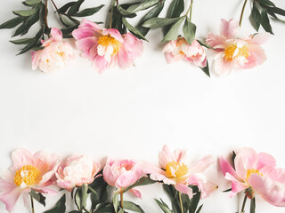 Pink peony frame isolated on white background and open space for text. Botany background. Top view