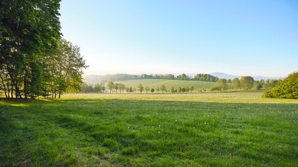Bergwiese im Mittelgebirge