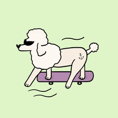 Skater Poodle