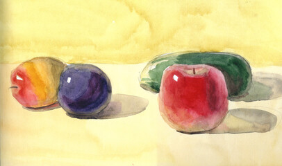 Sketch with a cucumber, apple and apricots, watercolor