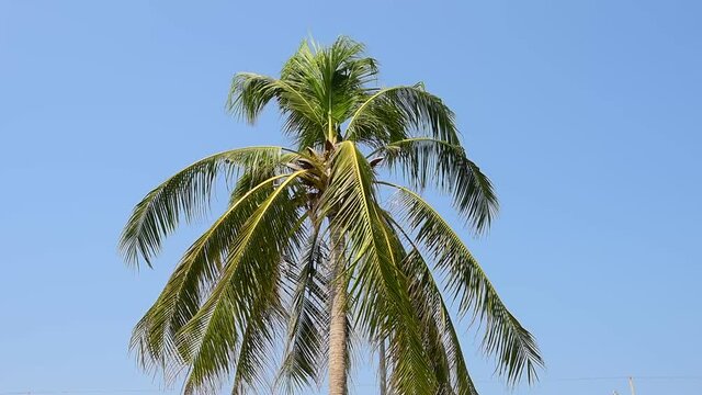 rayong Seaside , beach in Rayong,Thailand.