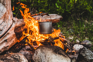 Kettle hanging over fire. Cooking food at fire in wild. Beautiful big log burns in bonfire...