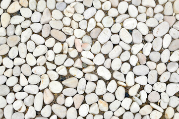 Background made of white smooth stones pebbles