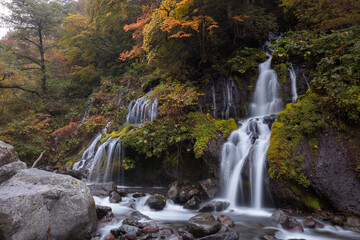 【2019年】山梨県北杜市・秋の吐竜の滝