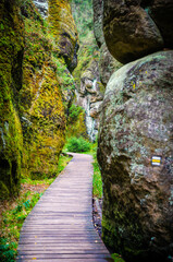 A narrow path through the rock formation valley, Czech Republic