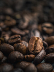 Close-up of roasted Thai coffee beans