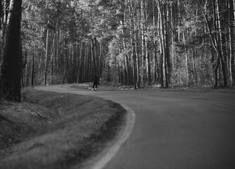 człowiek na rolkach na drodze w lesie 