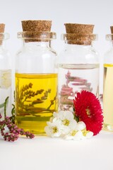 Obraz na płótnie Canvas Beautiful photo of small bottles with cork stoppers filled with fantastic fragrant oil, essential oils, peppermint, rose water and daisies