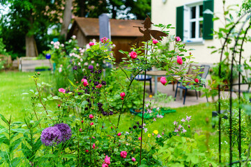 Sommer im Garten mit Rosenbeeten und Staudenbeeten, blick in Garten mit Hochbeeten, Terrasse, Gartenmöbel und blühenden Rosen