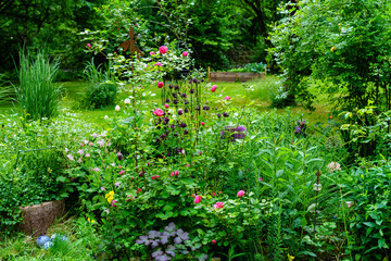 Sommer im romantischen Garten mit Rosenbeeten und Staudenbeeten, üppige Staudenbeete in erster...
