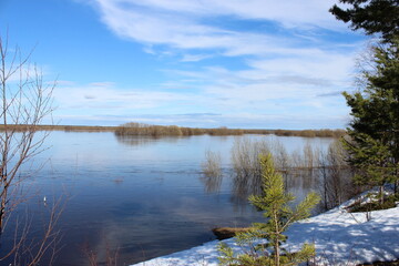 reflection of trees in water