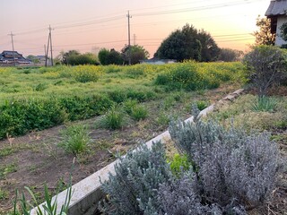 road in the mountains