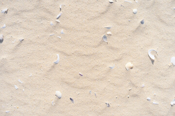 Copy space of sand beach texture abstract background.
