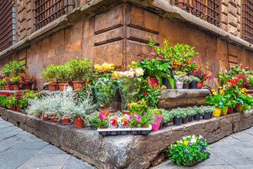 Fototapeta na wymiar Flowers displayed on the corner of a historic house in Lucca, Italy, Europe.