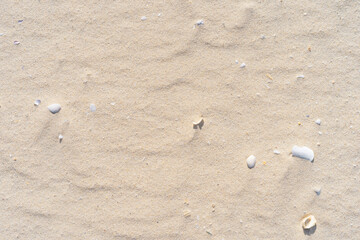 Fototapeta na wymiar Copy space of sand beach texture abstract background.