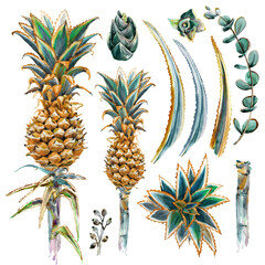 watercolor pineapple collection isolate on white background. Hand drawn watercolor botanical illustration.