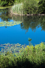 Longton Nature Reserve
