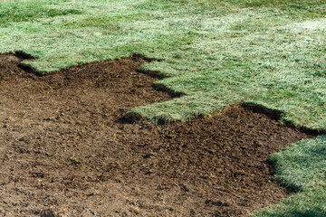 Rolled green grass on wet soil, installation.