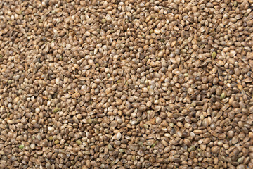 Food background of cannabis seeds