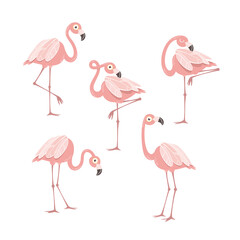 Cartoon pink flamingo set. Design elements for fabric and decor.