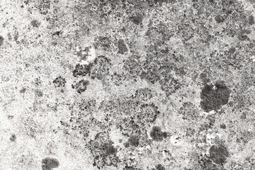 grey grunge stone wall background