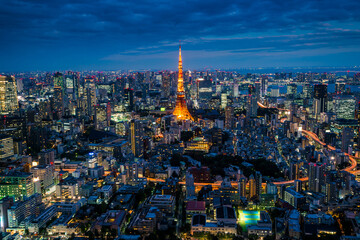 Naklejka premium Spectacular Night View of Tokyo City and skyscrapers