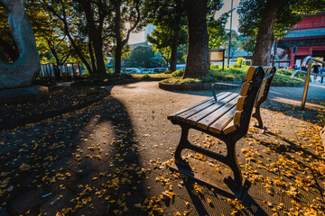 A park bench in the park during Autumn foliage on a beautiful sunny day