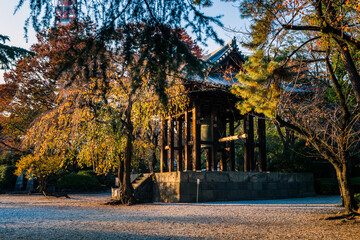 Beautiful sunlight at Zojoji Temple Shrine during Autumn