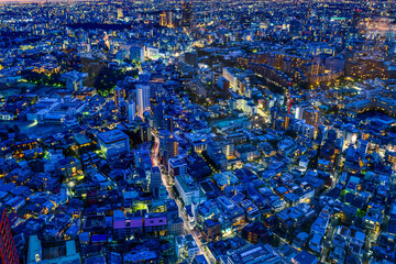 Night life view of densely populated Tokyo Metropolis 