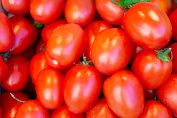 Manojo de tomates pera ingrediente perfecto para gazpacho 