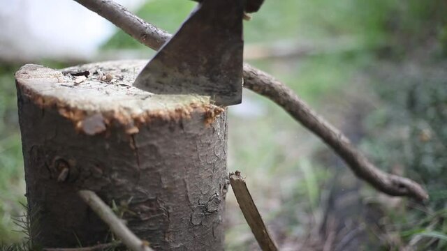 A guy cuts branches with an ax for a fire. Harvesting firewood for the Mongal. The blade cuts a dry branch. Work in the garden.