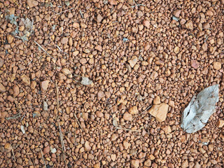 The surface is covered with red gravel with twigs and dry leaves as the background texture