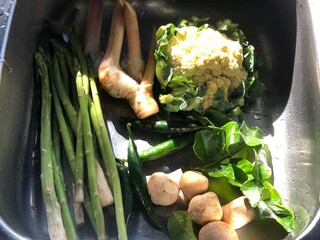 Fresh mushrooms,Galangal,Kaffir lime leaves,Cauliflower,Asparagus,Chili in the sink water at rustic...