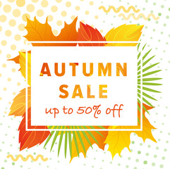 Autumn leaves background vector illustration. Cartoon flat autumn sale lettering poster, special offer web banner or shopping discount promotion, autumnal yellow dry maple tree leaf in fall season