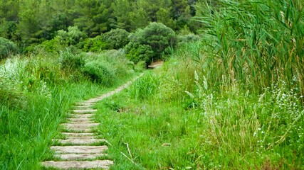 Camino de piedras