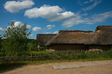 reconstructed thatched viking houses in Hedeby