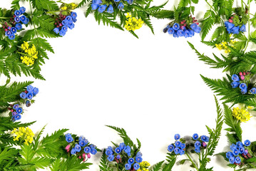 Flower frame made of wild flowers on a white isolated background. Template for text, postcards.