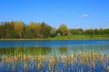 A beautiful, quiet and peaceful lake with spring colors.